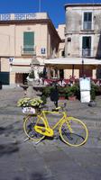Tropea