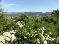 Valle della Luna