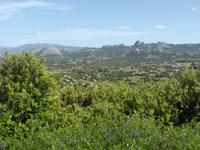 Valle della Luna
