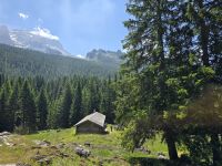 Vallesinella Alm, Brenta Dolomiten