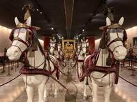 Vatikanische Museen