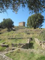 Velia