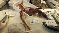 Venedig (Rialto Mercato - Fischmarkt)