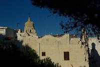 Vieste (1)