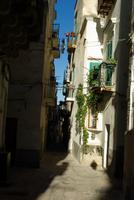 Vieste (2)