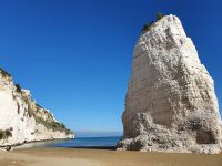 Vieste, Pizzomunno