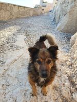 Vieste,