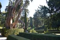 Villa dÉste