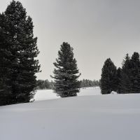 Villanderer Alm