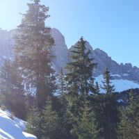 Villnöss