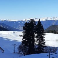 Villnöss