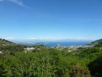 Vivara, Procida und der Vesus