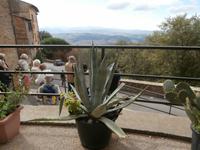 Volterra 