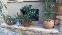Volterra, Stadtführung mit Bettina