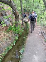 Waalwege