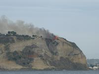 Waldbrand