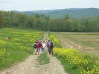 Wanderung Certaldo