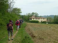 Wanderung Certaldo