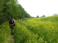 Wanderung Certaldo