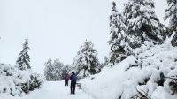 Wanderung Ritten zur Villanderer Alm