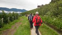 Wanderung auf dem Marlinger Waalweg