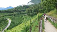 Wanderung auf dem Marlinger Waalweg