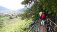 Wanderung auf dem Marlinger Waalweg