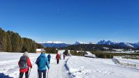 Wanderung auf der Villanderer Alm