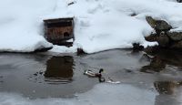 Wanderung auf der Villanderer Alm