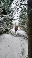 Wanderung auf der Villanderer Alm