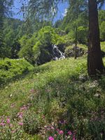 Wanderung durch den Val di Rabbi im Nationalpark Stilfserjoch in den Dolomiten
