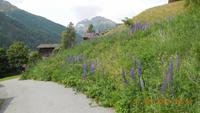 Wanderung im Ultental