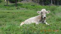 Wanderung im Ultental