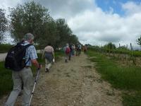 Wanderung in Greve