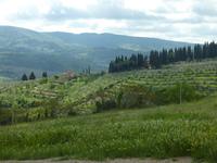 Wanderung in Greve