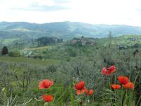 Wanderung in Greve