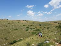 Wanderung in der Basilikata - Gravina Schlucht bei Matera (Apulien - Italien) (21)