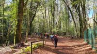 Wanderung in der Foresta Umbra