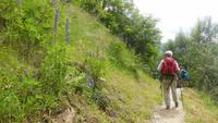 Wanderung nach Dorf Tirol