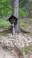 Wanderung nach Dorf Tirol