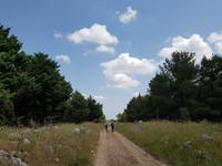Wanderung zum Castel del Monte, in Apulien (Italien) (7)