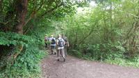 Wanderung zum Montiggler See