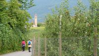 Wanderung zum Montiggler See