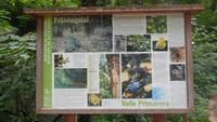Wanderung zum Montiggler See