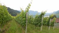 Wanderung zum Montiggler See