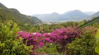 Wanderung zum Montiggler See