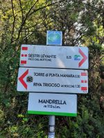 Wanderung zum Punta Manara
