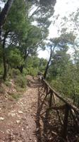 Wanderweg Gargano Nationalpark