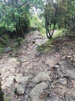 Wanderwege