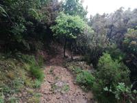 Wanderwege